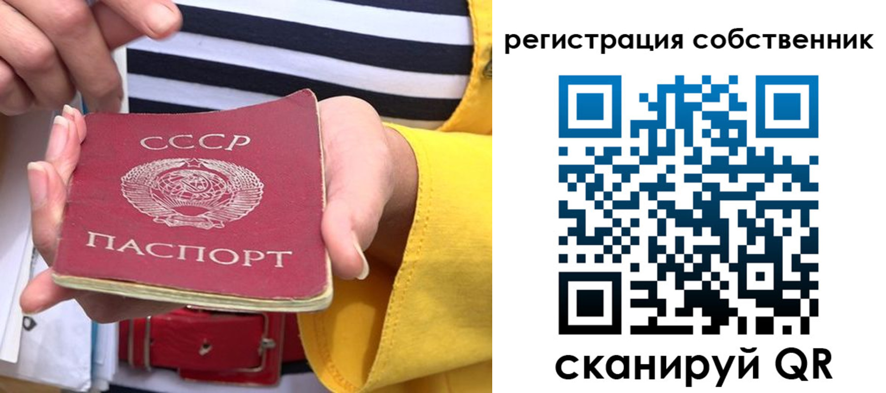 временная прописка в Фрязино